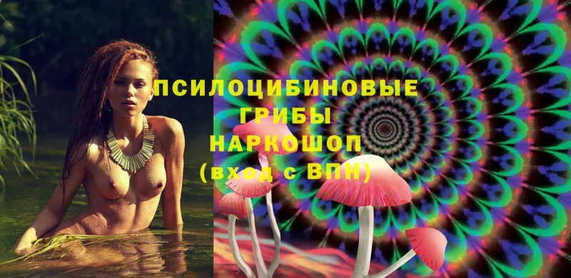 Галлюциногенные грибы Magic Shrooms  кракен ONION  Красавино 